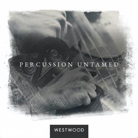 敲击刮擦提琴的FX打击乐 – Westwood Instruments Percussion Untamed KONTAKT