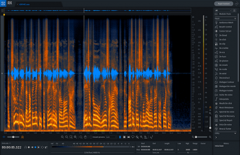 iZotope RX Pro for Music v9.1.0 WiN