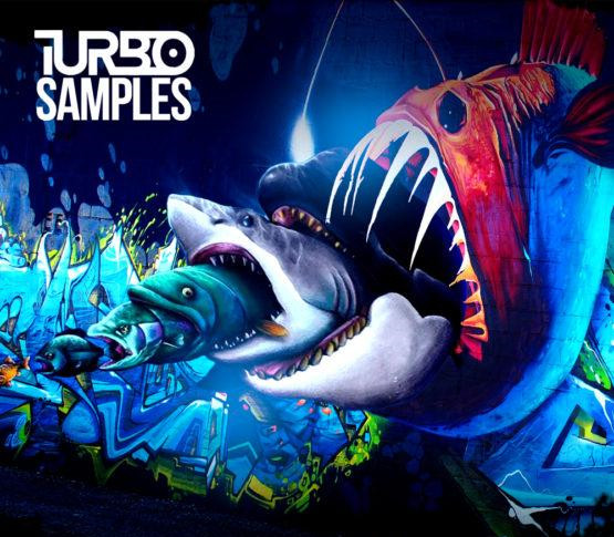 Turbo Samples Catch Tech House and Release WAV MIDI-DECiBEL