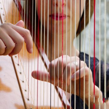 noiiz Harmonious Harps by Aur0ra WAV