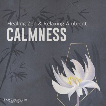 Famous Audio Calmness Healing Zen and Relaxing Ambient WAV-FANTASTiC