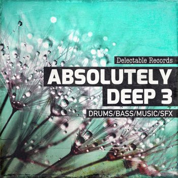 Delectable Records Absolutely Deep 03 MULTiFORMAT-FANTASTiC
