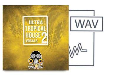 女声素材 – Vandalism Ultra Tropical House Vocals 2 WAV MiDi