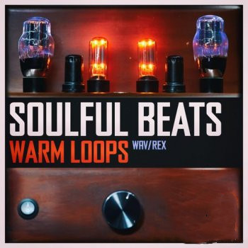 Beatrising Soulful Beats Warm Loops WAV-FANTASTiC