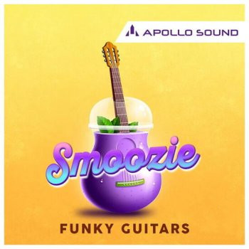 Apollo Sound Smoozie Funky Guitars WAV KONTAKT REX-DECiBEL