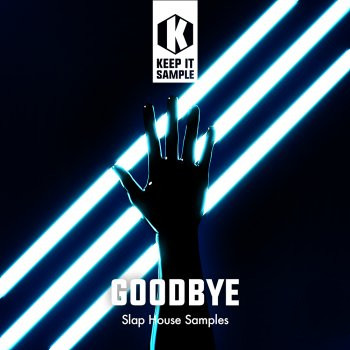 Keep It Sample Goodbye WAV Midi XFER RECORDS SERUM-FANTASTiC