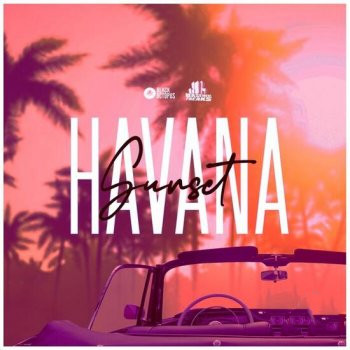Black Octopus Sound Basement Freaks Presents Havana Sunset WAV-DECiBEL