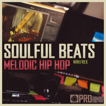 Pro Star Productions Soulful Beats Melodic Hip Hop WAV-FANTASTiC