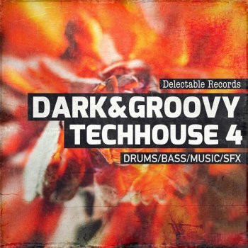 Delectable Records Dark And Groovy TechHouse 04 WAV-FANTASTiC