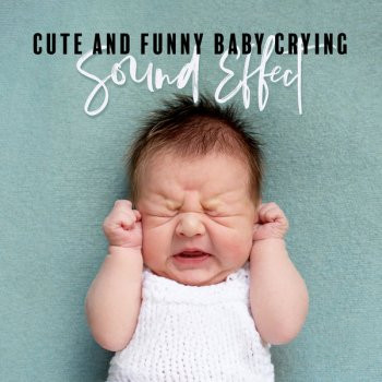 Sound Effects Zone Cute and Funny Baby Crying Sound Effect FLAC
