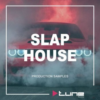Symphonic Distribution Slap House WAV-UHUB